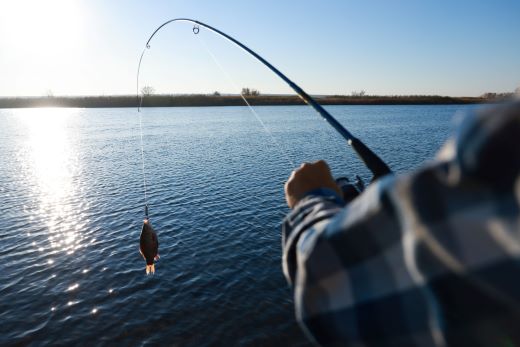 How to Catch & Release Fish Safely & Responsibly