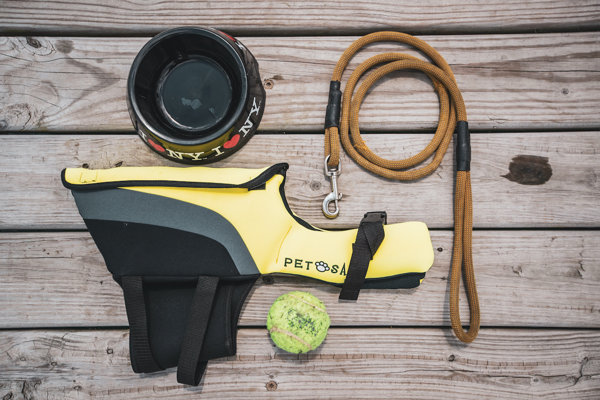 4 Must-Have Dog Boat Accessories