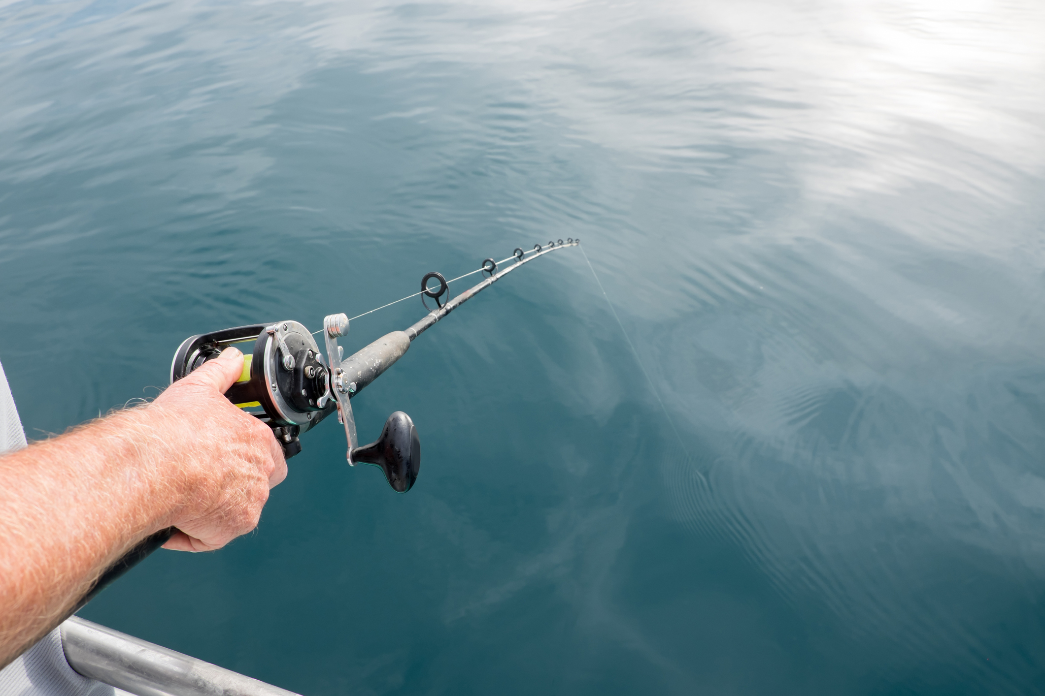 12 Best Fishing Apps for Your Smartphone