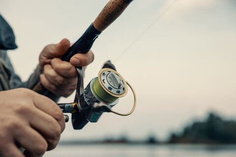 Spinning Reels