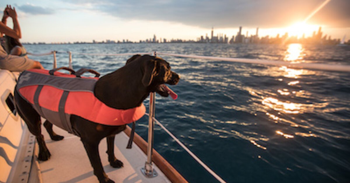 Boating with Pets