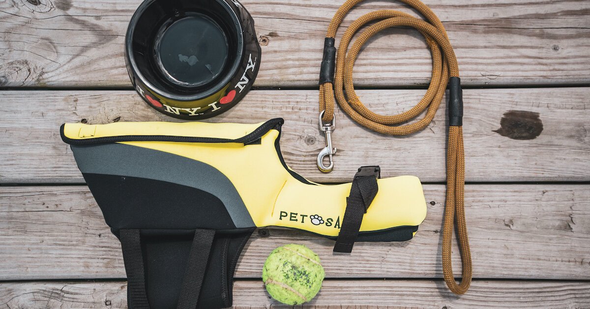 Best Dog Boating Accessories for 2022 – Snag-A-Slip Blog