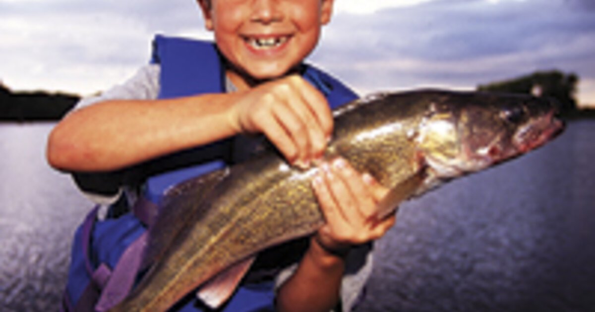 Live Bait: How To Keep Fishing Bait Alive and Healthy